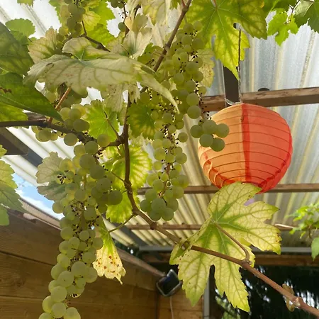 Homestay Oaz Ehingen (Alb-Donau)